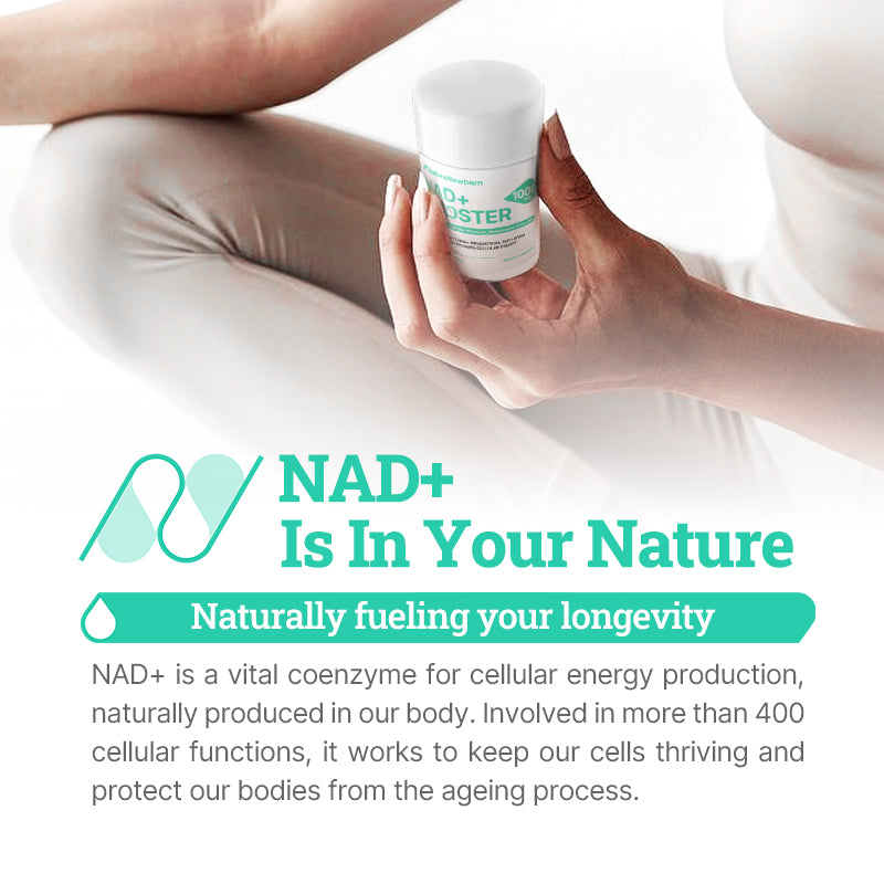 NAD+ Booster High Purity NAD+ Supplement for Triple Anti-Aging, Energy, Focus - 60 Count - Vitamin & Wellness Dietary Healthcare Edible Nutrition Fitness